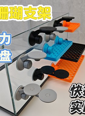 珊瑚支架基座珊瑚繁殖