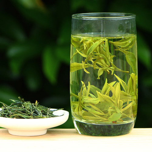 新茶口粮茶绿茶春茶毛峰雨前250g