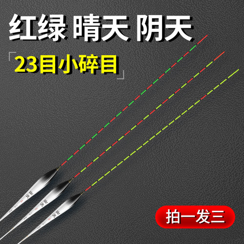 纳米红绿尾阴天尾小碎目