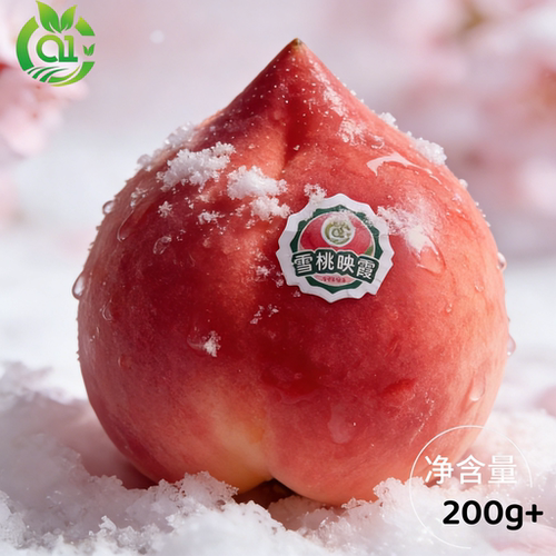 【果园直供坏果包赔】春雪水蜜桃产地直发脆甜现摘现发可口水果