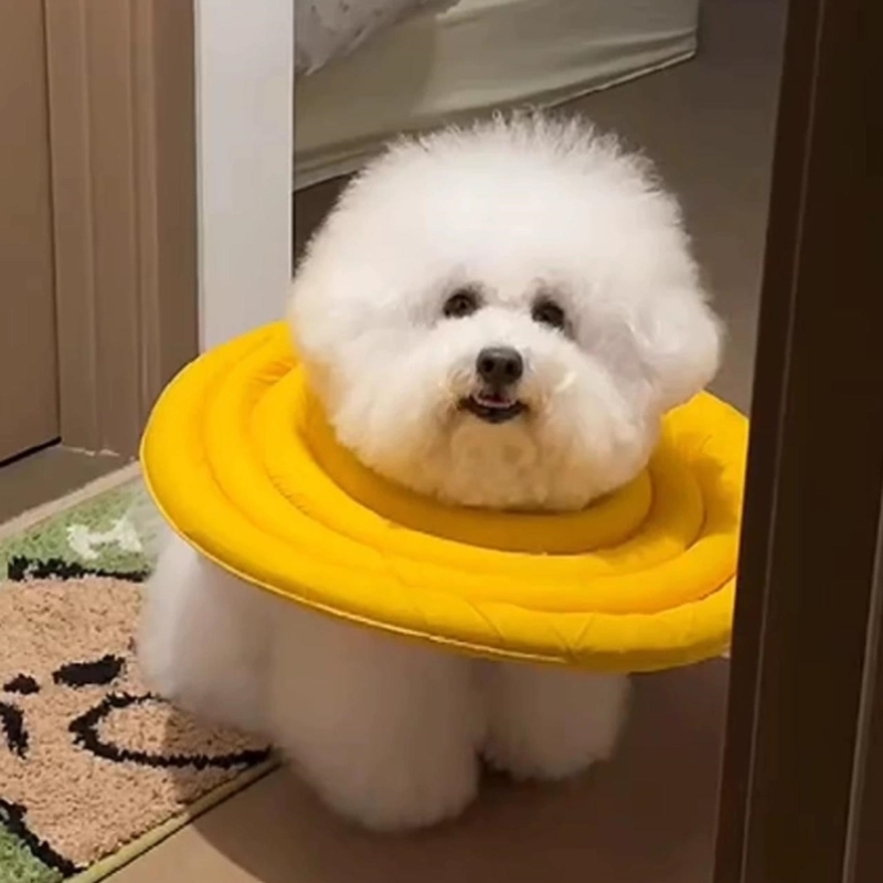 宠物头套伊丽莎白软圈加深款狗狗头套防舔不影响吃饭猫咪项圈柔软