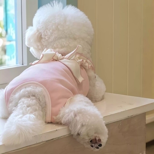 狗狗衣服秋冬保暖护脐睡衣小型幼犬包肚衣猫咪泰迪四脚衣服绝育服