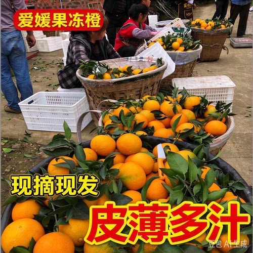 自家种植，现卖现采，保证品质