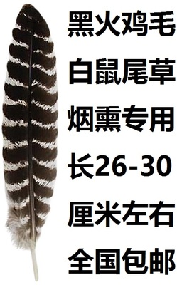 白鼠尾草配件黑火鸡毛精选无缺损