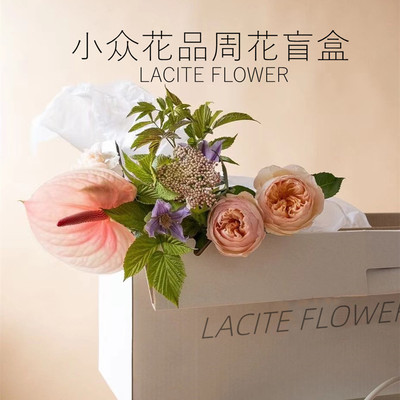 每周一花鲜花盲盒北京家居插花