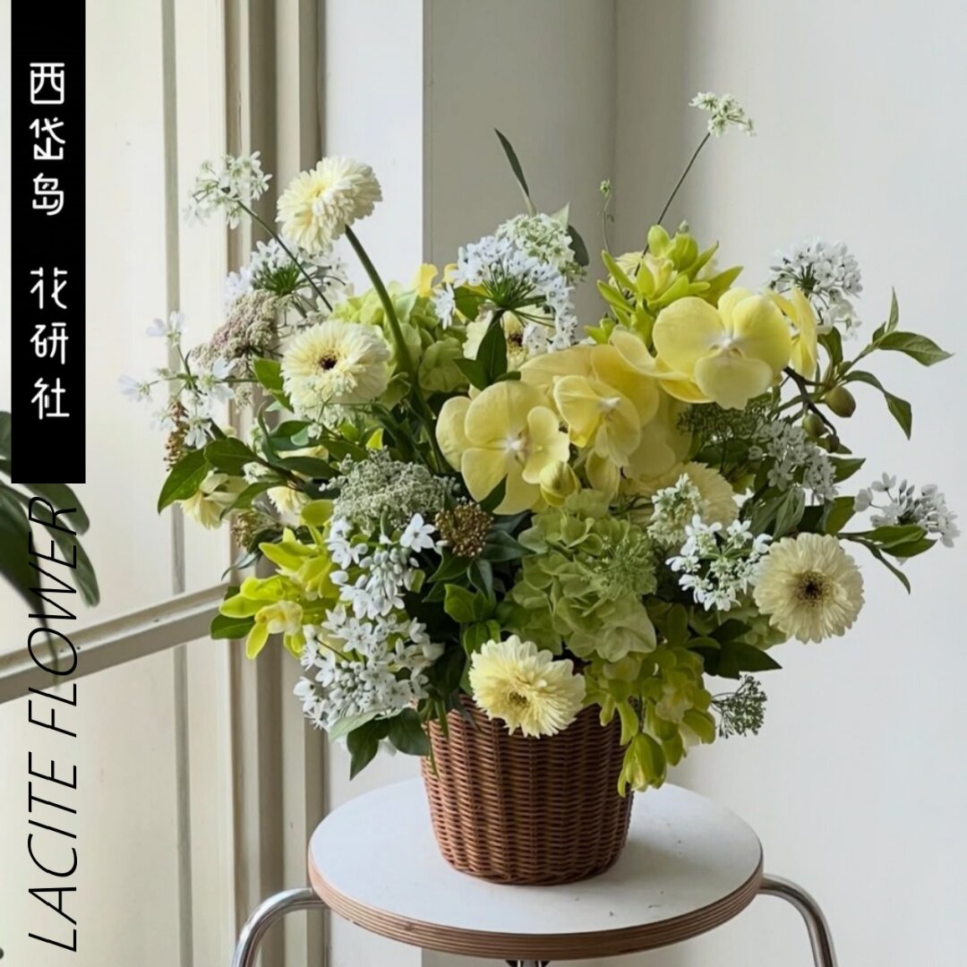 西岱岛|北京当日配送鲜花黄绿色系蝴蝶兰绣球生日礼物祝福花篮