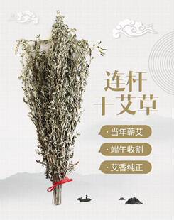 整棵晒干带根头 艾草艾叶月子草艾草叶去湿气泡澡泡脚 500克