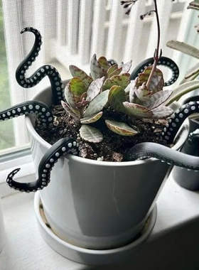 跨境Set of 7 Sea monster Tentacles海怪章鱼触手7件套花盆摆件