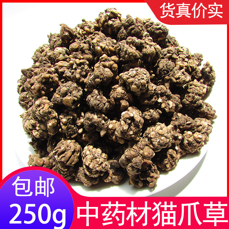 野生猫爪草药材正品水洗特级猫抓草茶蒲公英