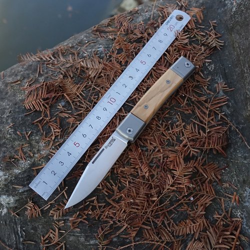 意大利原装正品钢狮BestMAN