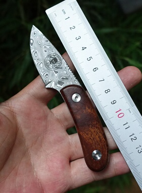 瑞粉大马士革钢奥地利M390钢瑞典山特维克12C27不锈钢牙签鱼小刀