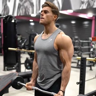 GYM SHARK critical 弹力紧身健身肌肉鲨鱼T恤撸铁训练男士背心