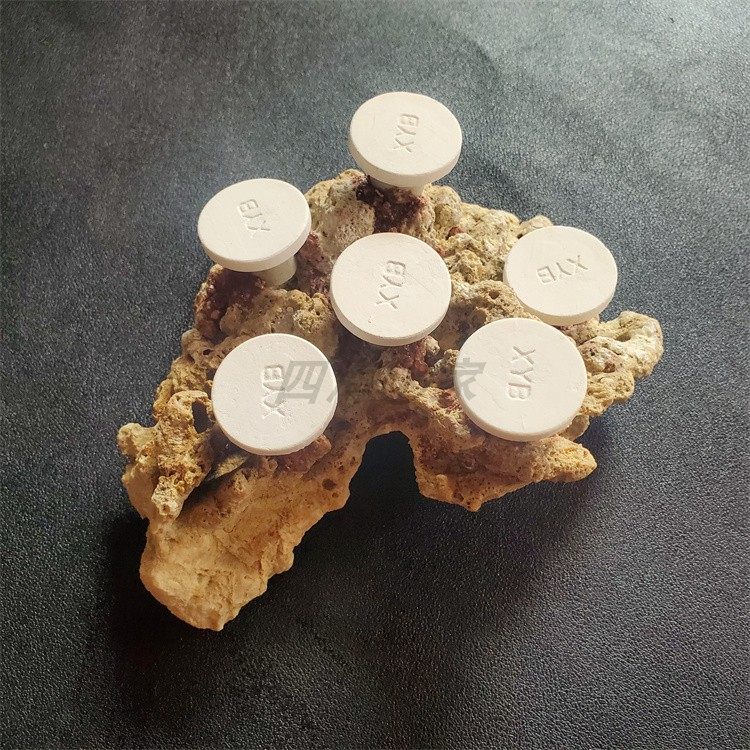 海水造景石软体硬骨断枝珊瑚