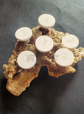 海水造景石软体硬骨断枝珊瑚基座底座可插拔自由切换移动珊瑚位置