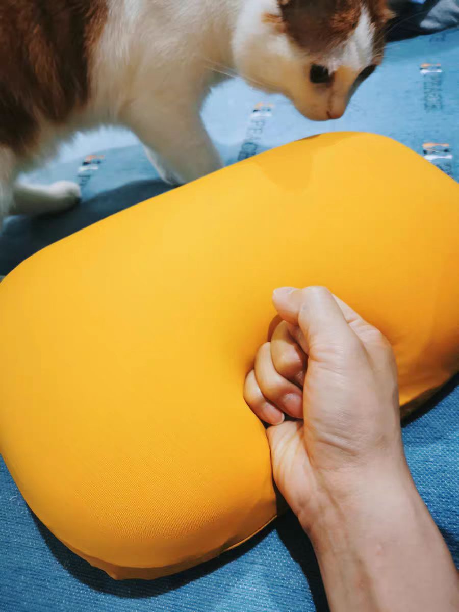 记忆枕慢回弹枕芯猫肚皮记忆棉