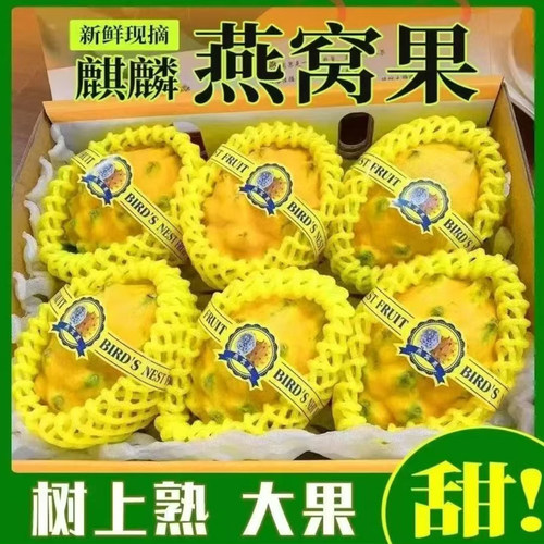 海南燕窝果稀有当季新鲜孕妇营养水果白心麒麟果礼盒装黄皮火龙果