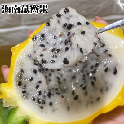 高端燕窝果稀有当季新鲜孕妇营养水果1/5斤麒麟果礼盒黄皮火龙果