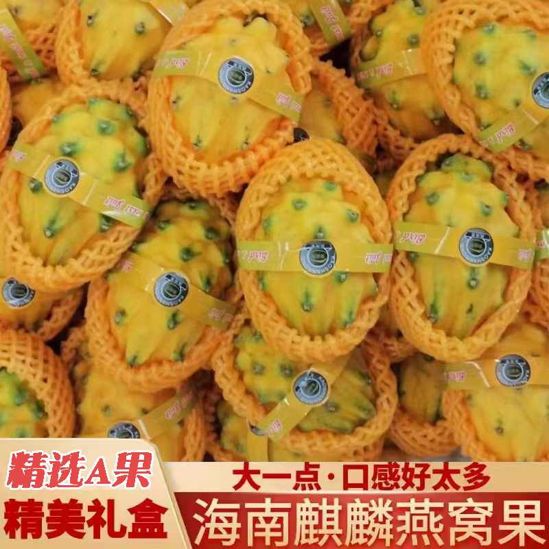 海南麒麟果黄色火龙果白心麒麟燕窝果新鲜非黄龙果孕妇水果礼盒装