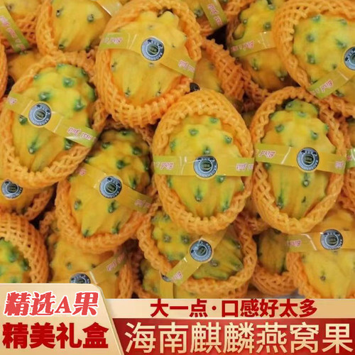 海南麒麟果黄色火龙果白心麒麟燕窝果新鲜非黄龙果孕妇水果礼盒装