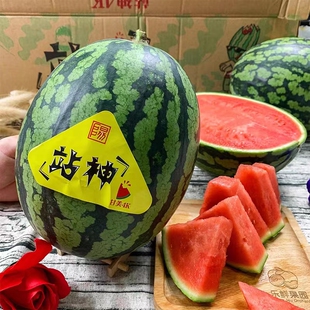 站神西瓜甘美4K整个大果5-10斤脆甜薄皮无籽肉厚当季新鲜多汁水果