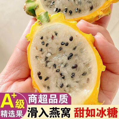 高端燕窝果罕见稀有海南麒麟果大果黄金火龙果子孕妇水果整箱礼盒