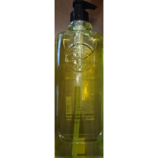 CAEM李先生花园轻奢香水润泽洗发露520ml