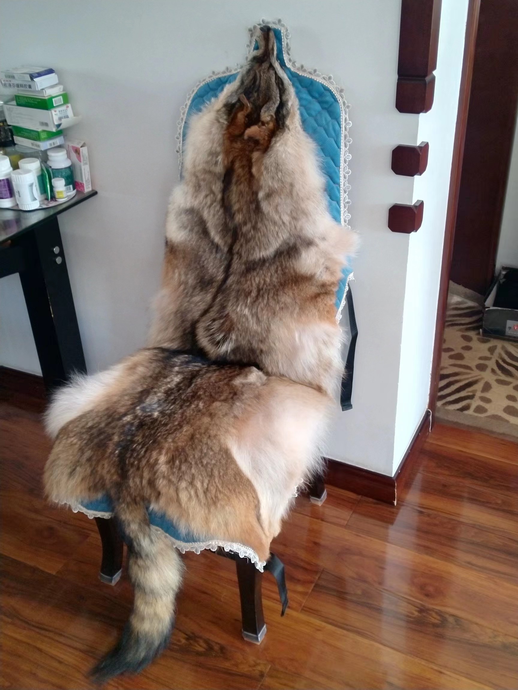 仿真整张狼皮整张动物皮动物模型标本沙发垫椅垫皮毛一体汽车坐垫