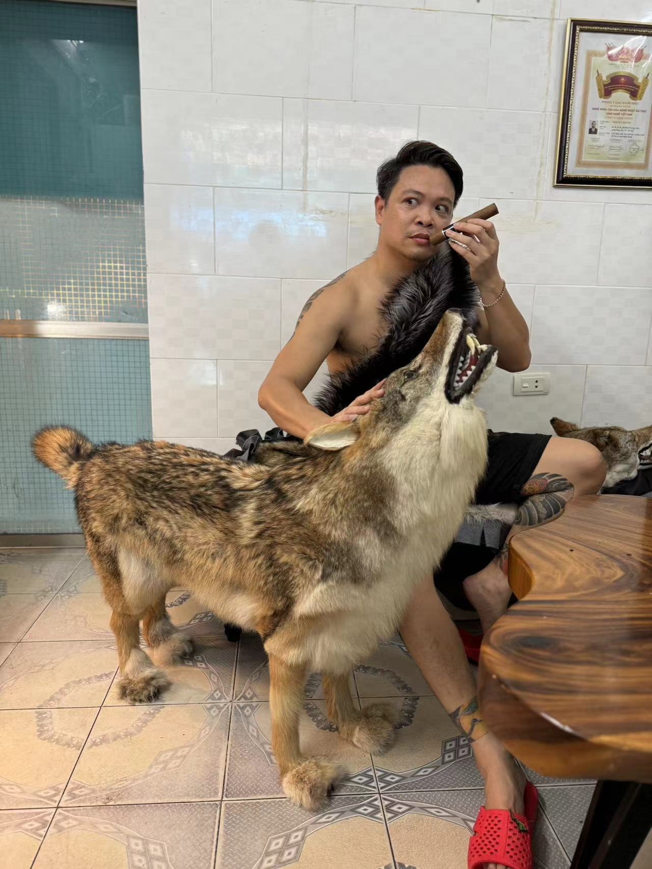 仿真狼手工制作动物模型景观装饰影楼道具摆件标本狼真皮毛动物