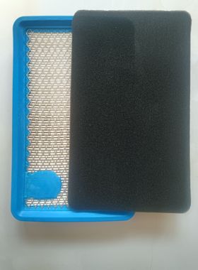 D12000i燃油充电站滤网T40/T50发电机汽油滤芯过滤网-