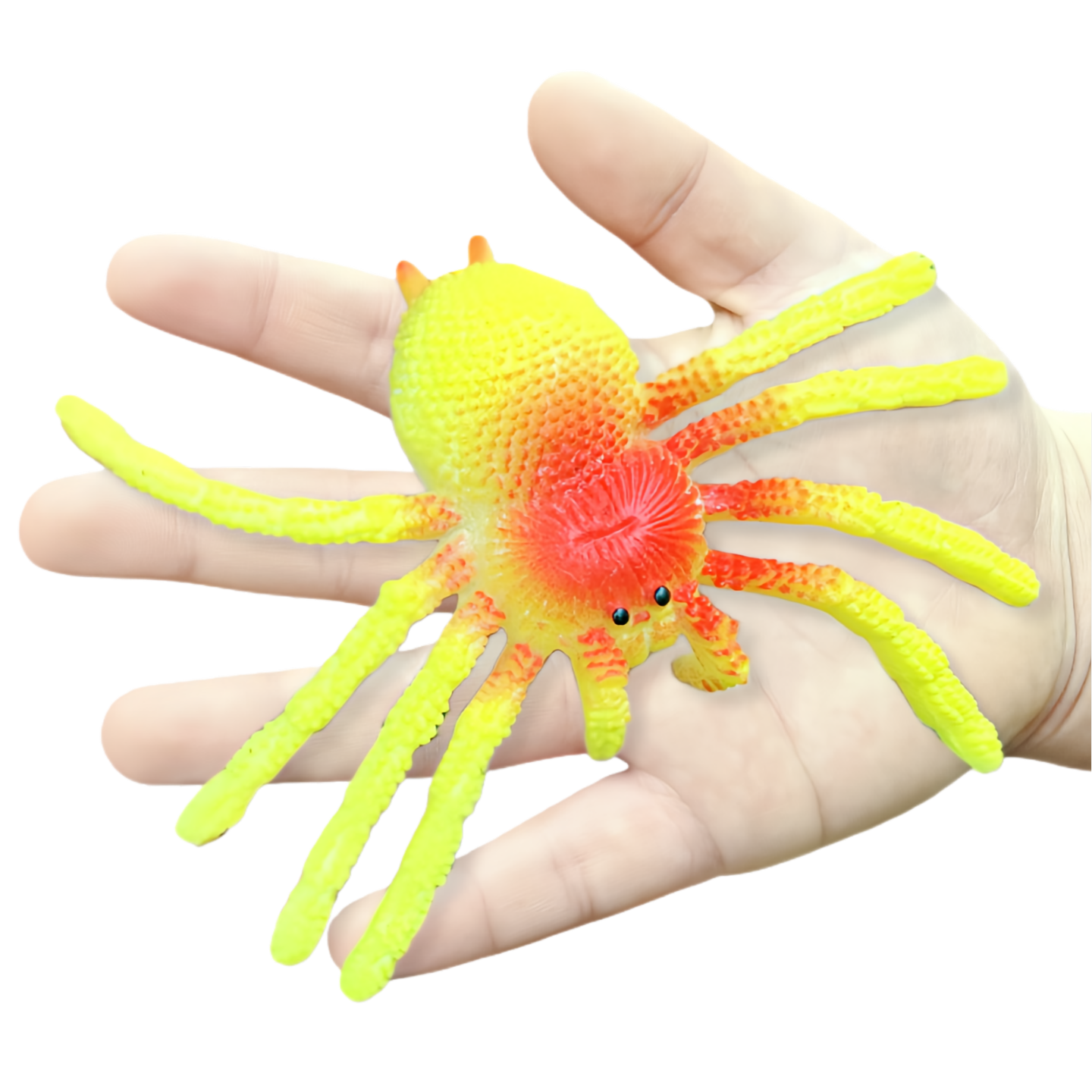 彩色软胶仿真蜘蛛玩具包邮
