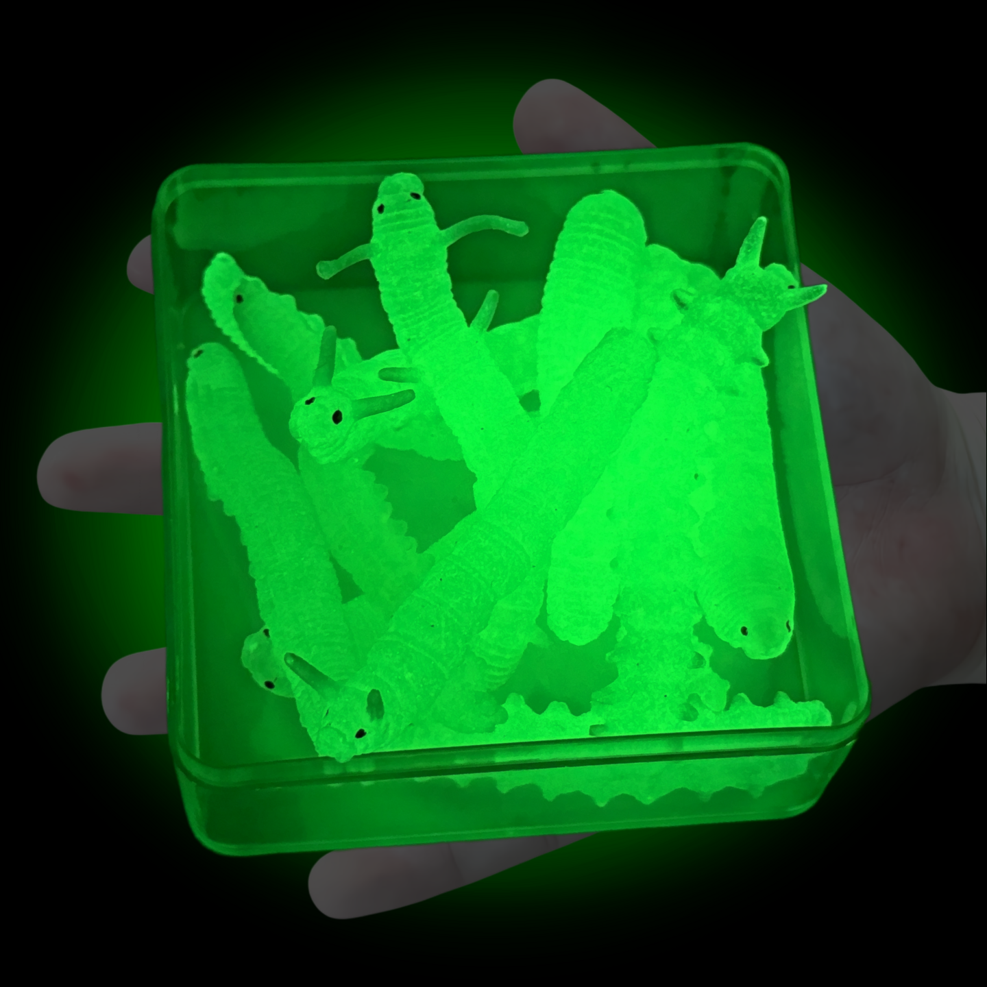 软胶夜光毛毛虫玉色超亮幼儿园儿童玩具认知益智发光昆虫动物模型,玩具/童车/益智/积木/模型,仿真/动物玩偶,淘宝优惠券,粉丝福利购,淘宝优惠卷