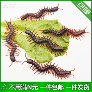 整蛊吓人恶搞塑胶幼儿园儿童玩具昆虫静态动物模型 仿真蜈蚣礼盒装