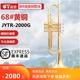 2000金银小号乐器 高档金音JYTY