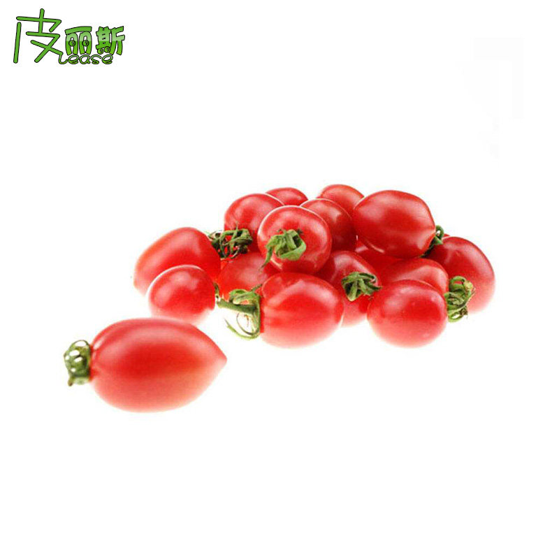 无土栽培水培茄子牛角椒圣女果水果黄瓜板栗南瓜豆角瓜果菜籽