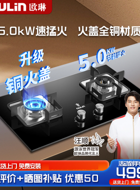 欧琳猛火灶家用天然气家用双灶大火力熄火保护装置燃气灶E2001B