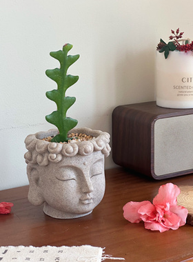 亲爱的绿植创意盆栽多肉植物室内桌面小盆栽花卉绿植盆栽好养耐旱