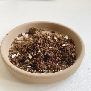自配土 植物专用通用营养土进口多肉泥炭土 DearPlant亲爱 绿植
