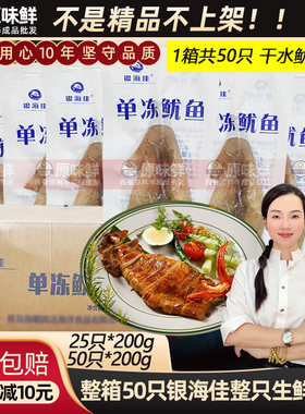 整箱银海佳单冻鱿鱼生鲜商用50只