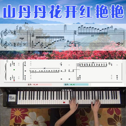 山丹丹花开红艳艳 五线谱简谱钢琴教学课程 悠秀