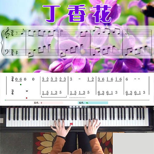 丁香花(唐磊)五线谱简谱钢琴教学课程 悠秀