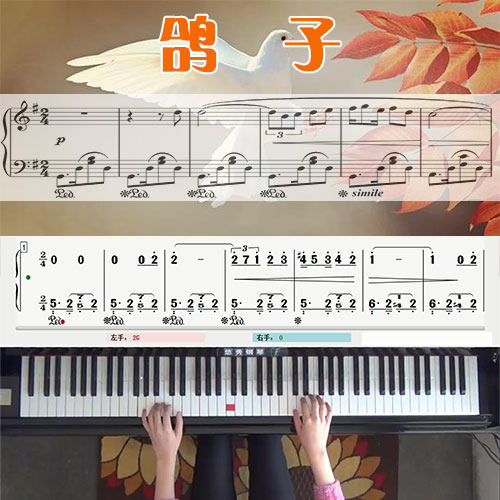 鸽子 五线谱简谱钢琴教学课程 悠秀