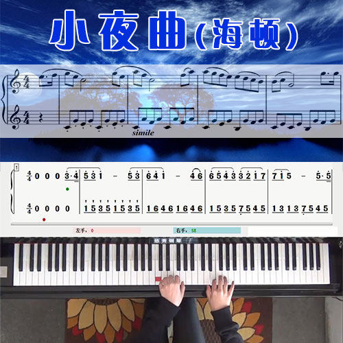 小夜曲(海顿)五线谱简谱钢琴教学课程 悠秀