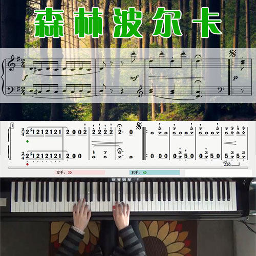 森林波尔卡 五线谱简谱钢琴教学课程 悠秀