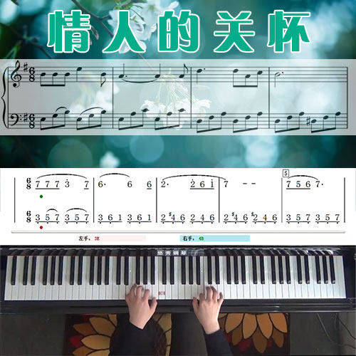 情人的关怀（邓丽君）五线谱简谱钢琴教学课程 悠秀