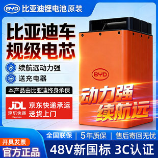 48v60v72伏九号高品质十大名牌二三轮电动单车比亚迪磷酸铁锂电池