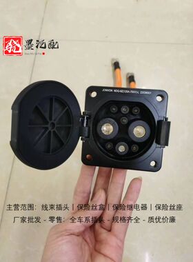 猎豹CS9飞扬CS5EV CT7MATTU新能源直流充电插头线束总成