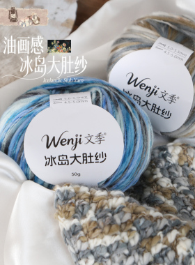 Wenji文季冰岛大肚纱毛线50g油画感渐变色编织围巾饰品坐垫毛线