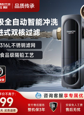 【新品】A.O.史密斯佳尼特全自动前置过滤器316L不锈钢CPF-TA1