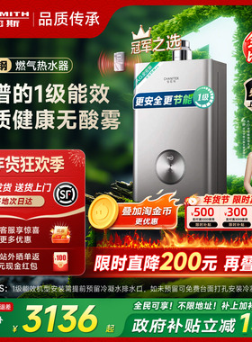 【政府补贴15%】AO史密斯佳尼特1级能效16L精钢燃气热水器TJ3/TC3