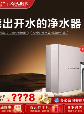 【门店在售】AO史密斯净水器家用过滤器高水效净水机DR1800SWi-E
